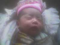 Alya 88